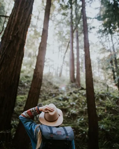 Passeggiate nei boschi val di fiemme