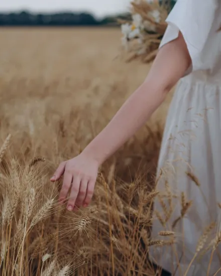 Ristorante sostenibile