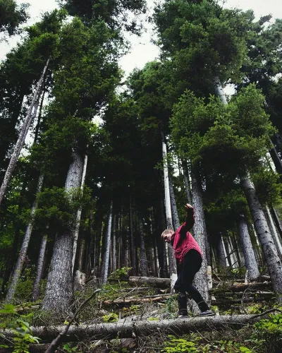 Joshua earle Pj7yh G Kc7 I unsplash