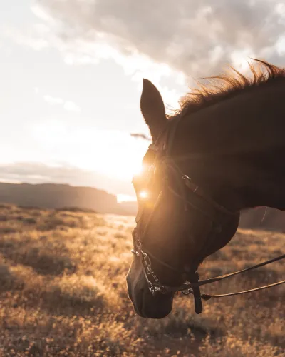 Jake nackos o8 Kr QQM5 NDM unsplash