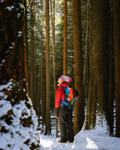 Greg rosenke Y6 ZNI Uhv Jko unsplash