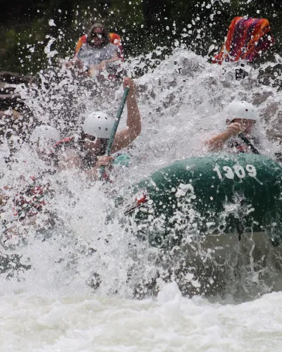 Julie thornton U Wdg Tvf3m8g unsplash